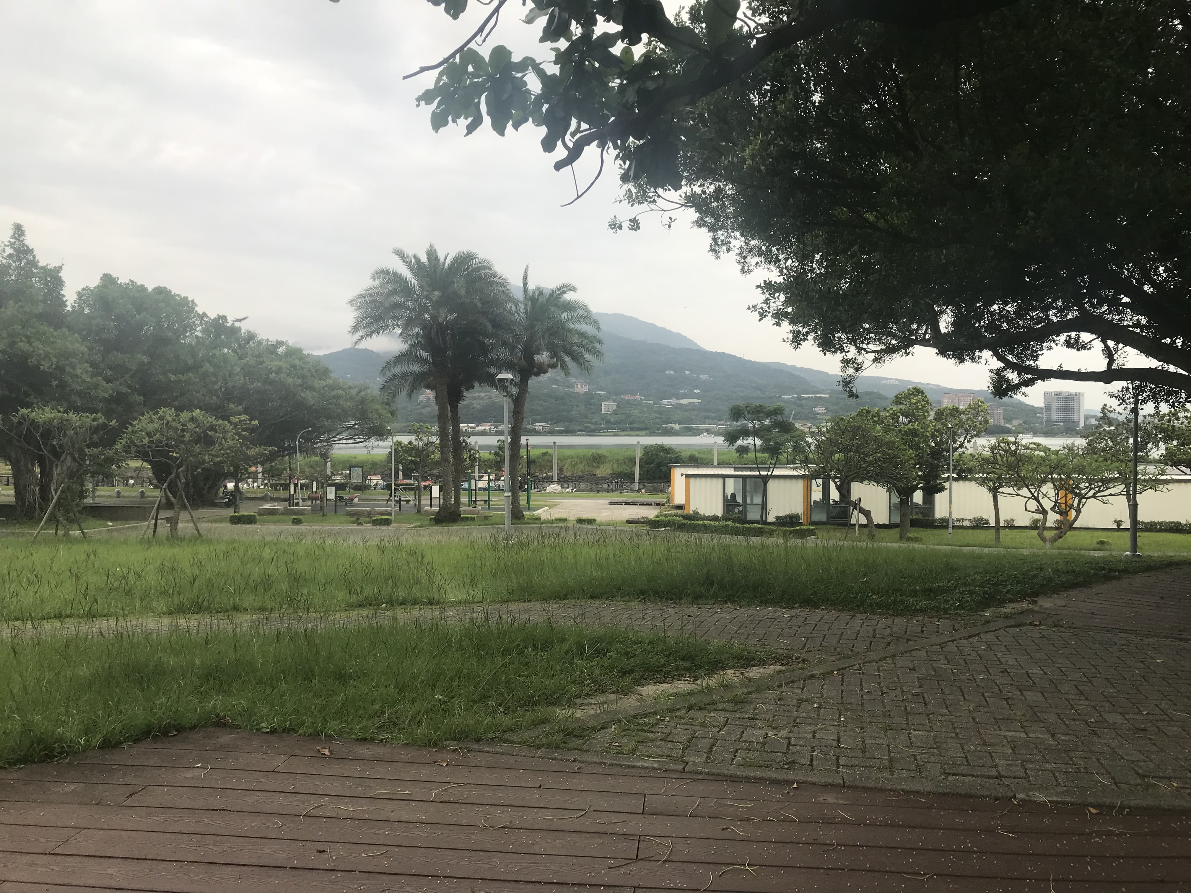 淡水河濱公園景色